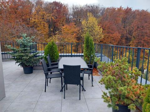 квартира за адресою Петра Лодія вул., 6