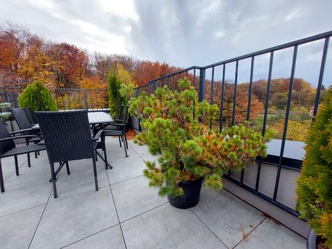 квартира за адресою Петра Лодія вул., 6