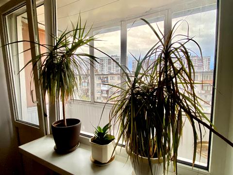 квартира за адресою Дарницький бульв., 17