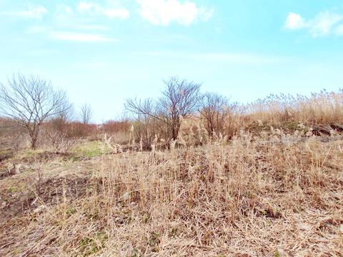 ділянка за адресою Катіонівська вул.