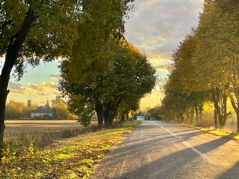 ділянка за адресою 