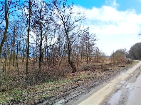 ділянка за адресою СК Алмазний