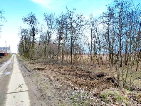 ділянка за адресою СК Алмазний