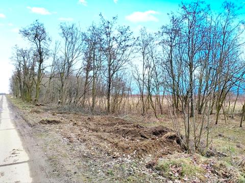 ділянка за адресою СК Алмазний