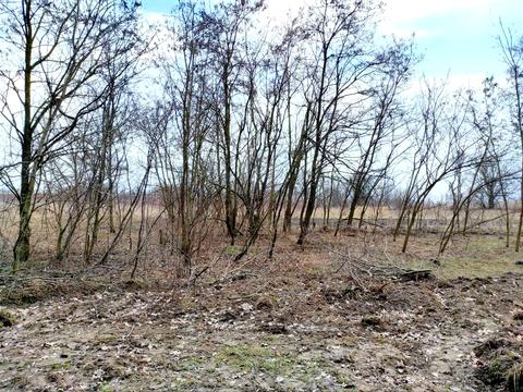 ділянка за адресою СК Алмазний