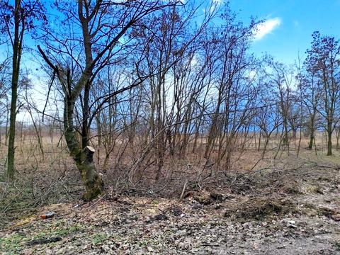 ділянка за адресою СК Алмазний