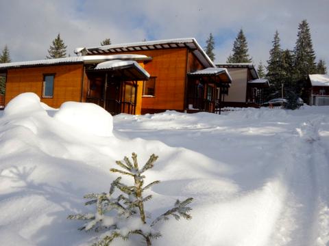 будинок за адресою с. Яблуниця, Ланарівка, 2