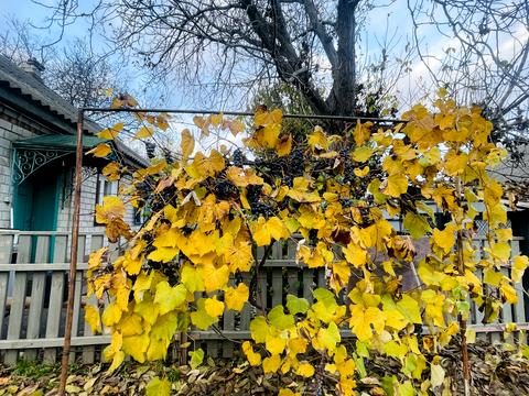 дом по адресу Кременчуг, Вільної України