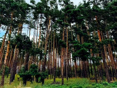 будинок за адресою Поезії вул. (Грибоєдова)