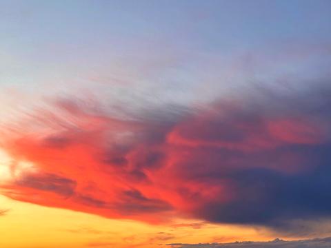 квартира по адресу Академіка Шалімова ул., 59