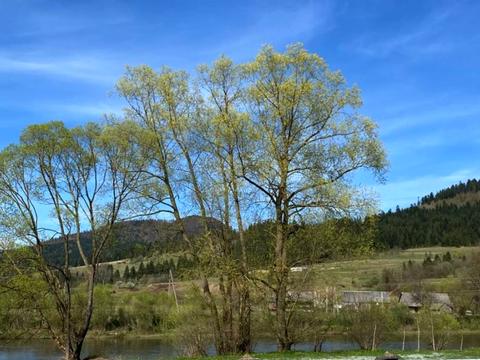 будинок за адресою Ріка