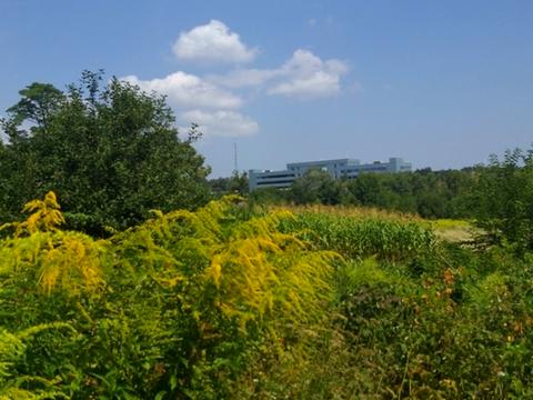 участок по адресу Академика Лебедева ул., 15 е