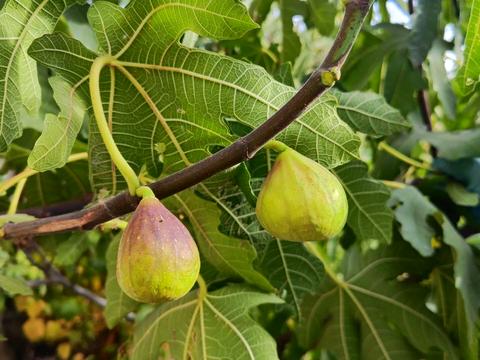 будинок за адресою Антіна Синявського вул. (40 років Комсомолу)