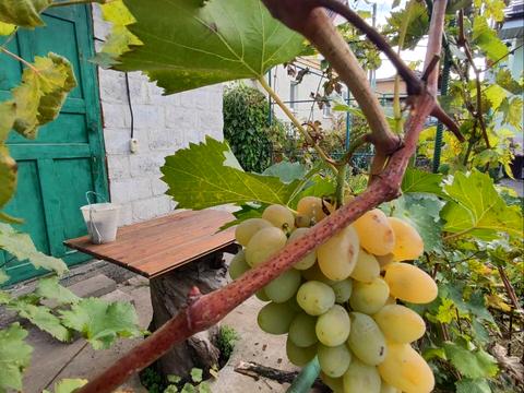 будинок за адресою Антіна Синявського вул. (40 років Комсомолу)