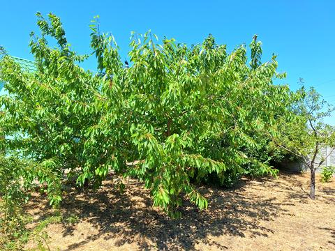 будинок за адресою Озерна вул., 1