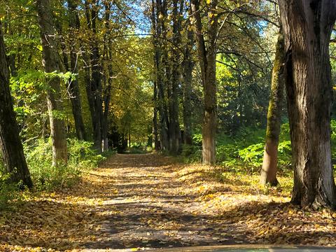 будинок за адресою смт. Димер, Хутірська