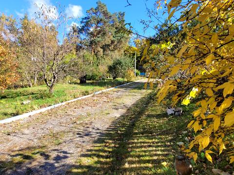 будинок за адресою смт. Димер, Хутірська