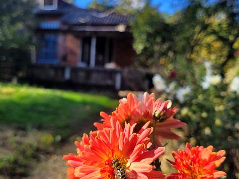 будинок за адресою смт. Димер, Хутірська