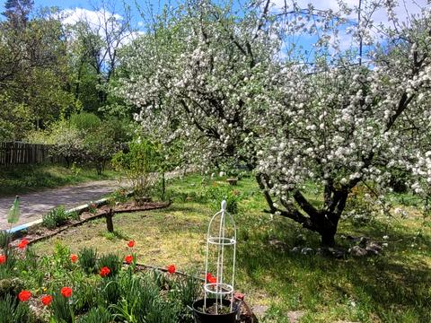 будинок за адресою смт. Димер, Хутірська