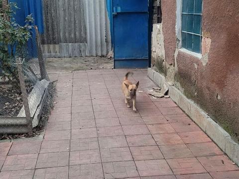 будинок за адресою Гранітна вул., 6