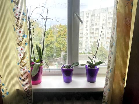 квартира за адресою Жабинського вул., 3