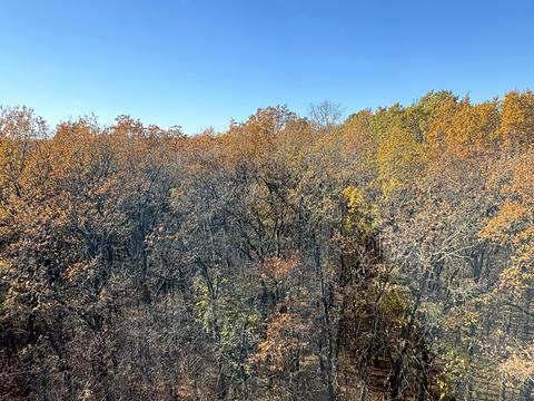 квартира за адресою Праведників Світу вул., 21