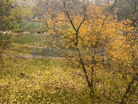 квартира за адресою Європейська вул. (Жовтнева), 33