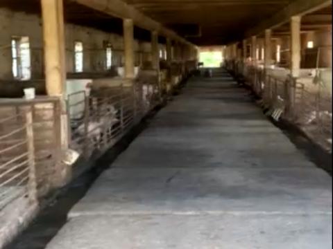 комерційна за адресою Шевченка, 1/7