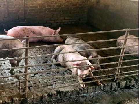 комерційна за адресою Шевченка, 1/7