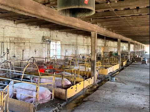 комерційна за адресою Шевченка, 1/7