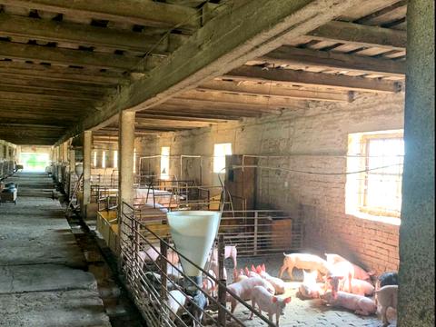 комерційна за адресою Шевченка, 1/7