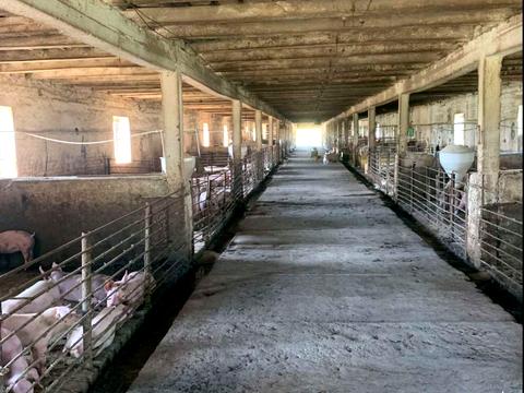 комерційна за адресою Шевченка, 1/7