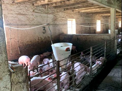 комерційна за адресою Шевченка, 1/7