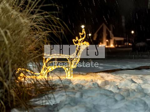 будинок за адресою с. Білогородка, Генріха Вишневського вул.