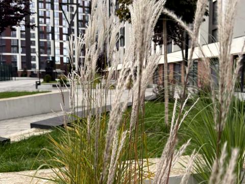 квартира за адресою Ленкавського вул., 15