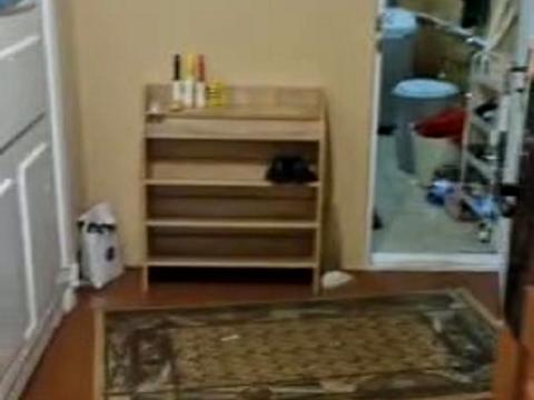 будинок за адресою с. Пухівка, Микала