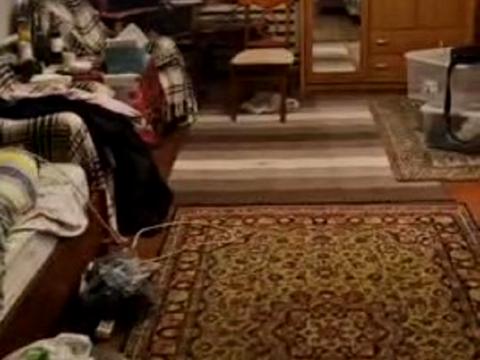 будинок за адресою с. Пухівка, Микала