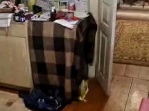 будинок за адресою с. Пухівка, Микала