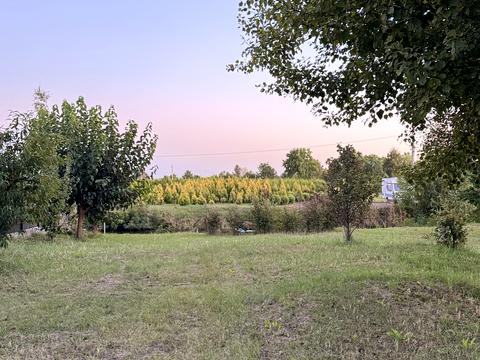 дом по адресу с. Гнедин, Вербна, 3