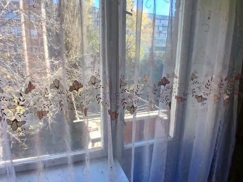 квартира по адресу Заречанская ул., 24/2