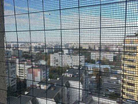 квартира по адресу Витянская ул., 2-Б