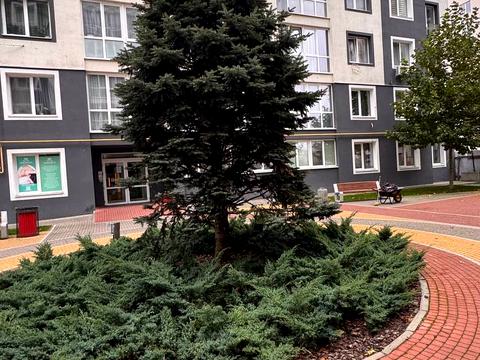 квартира по адресу Тихого пер., 2 к1