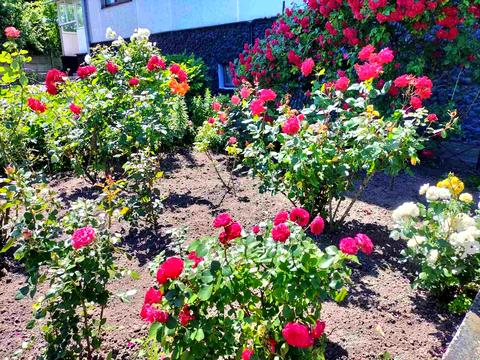 будинок за адресою Красильникова вул., 1