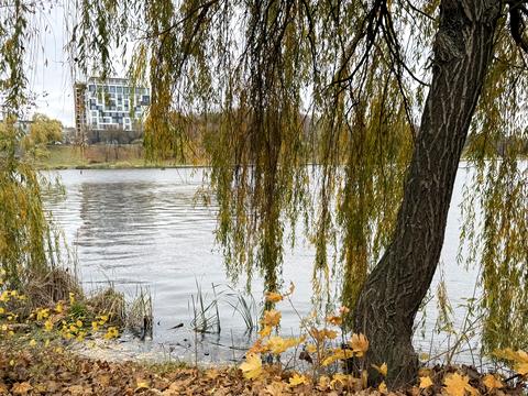 будинок за адресою Красильникова вул., 1