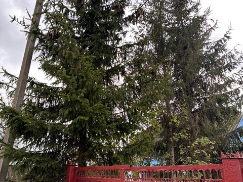 будинок за адресою Центральна вул. (Леніна)