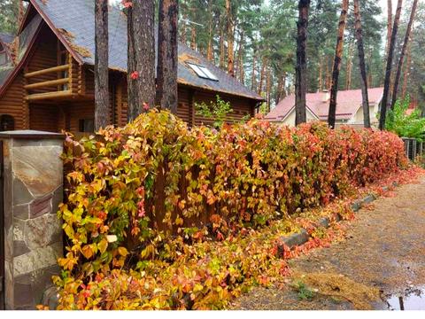 дом по адресу с. Воропаев, Авіаторів