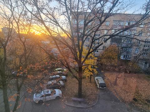 квартира за адресою Нивська вул., 7