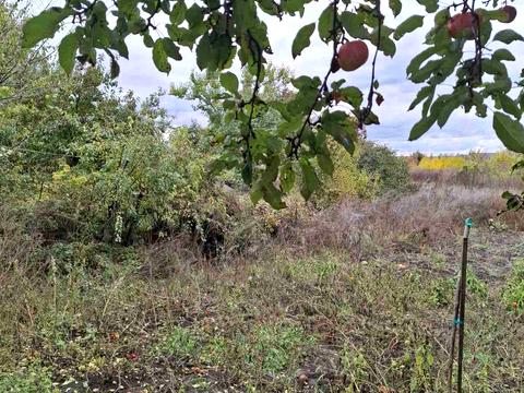 будинок за адресою Жовтнева вул.