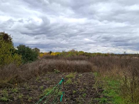 будинок за адресою Жовтнева вул.