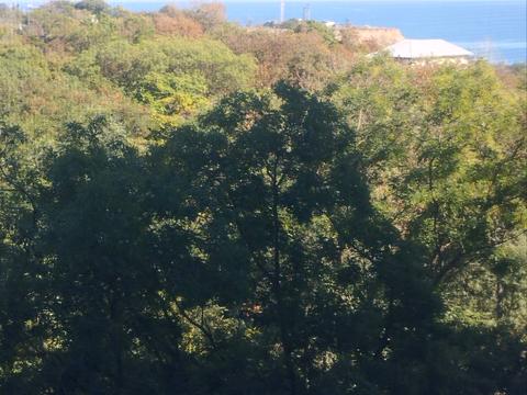 квартира по адресу Дача Ковалевского ул., 91